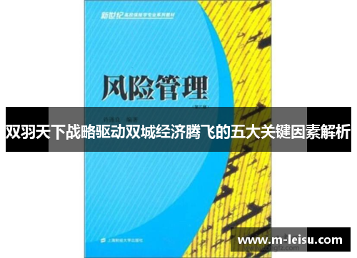 双羽天下战略驱动双城经济腾飞的五大关键因素解析