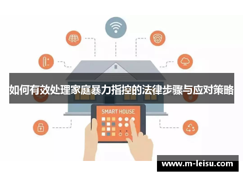 如何有效处理家庭暴力指控的法律步骤与应对策略